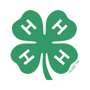 4hclover-footer.png